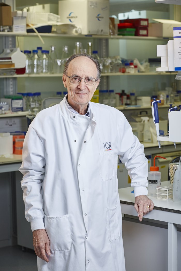 Professor Mel Greaves
