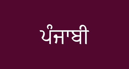 An image of the word "Punjabi" written in Punjabi language.
