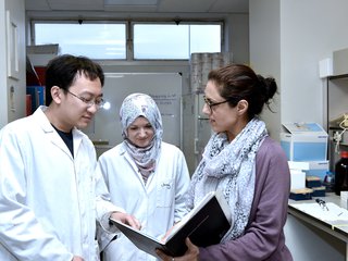 Three researchers (Yao Jiang, Jennifer Butler, and Farhat Khanim) looking at a book together in a University of Birmingham research lab.