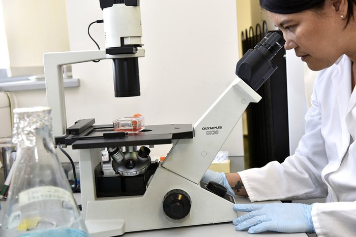 Researcher in a lab looking at samples through a microscope.