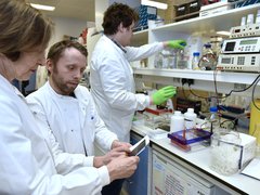 Three scientists check over some results on a report in a lab, surrounded by equipment.