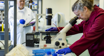 A researcher looking into a microscope in a lab.