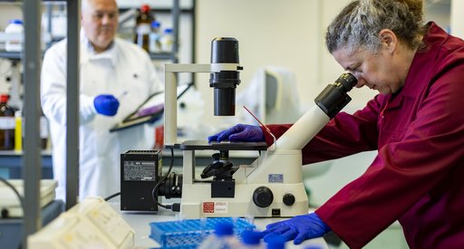 A woman in a laboratory looking at a sample through a microscope