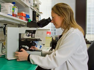 A researcher sits in a laboratory and uses a microscope to examine a sample.