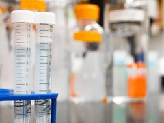 A close up of two test tubes filled with a clear liquid in a rack in a laboratory