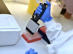 A close up of a person in a laboratory coat holding a multichannel pipette.