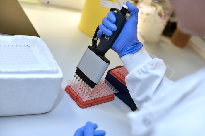A close up of a person in a laboratory coat holding a multichannel pipette.