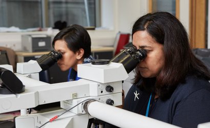 Two researchers side by side in a lab focusing on looking through microscopes at samples.