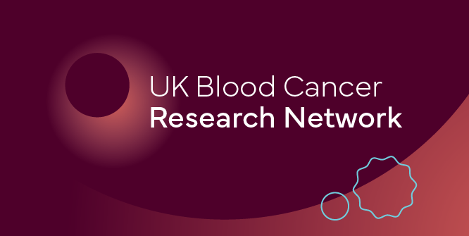 This is a logo for the Blood Cancer Research Network.